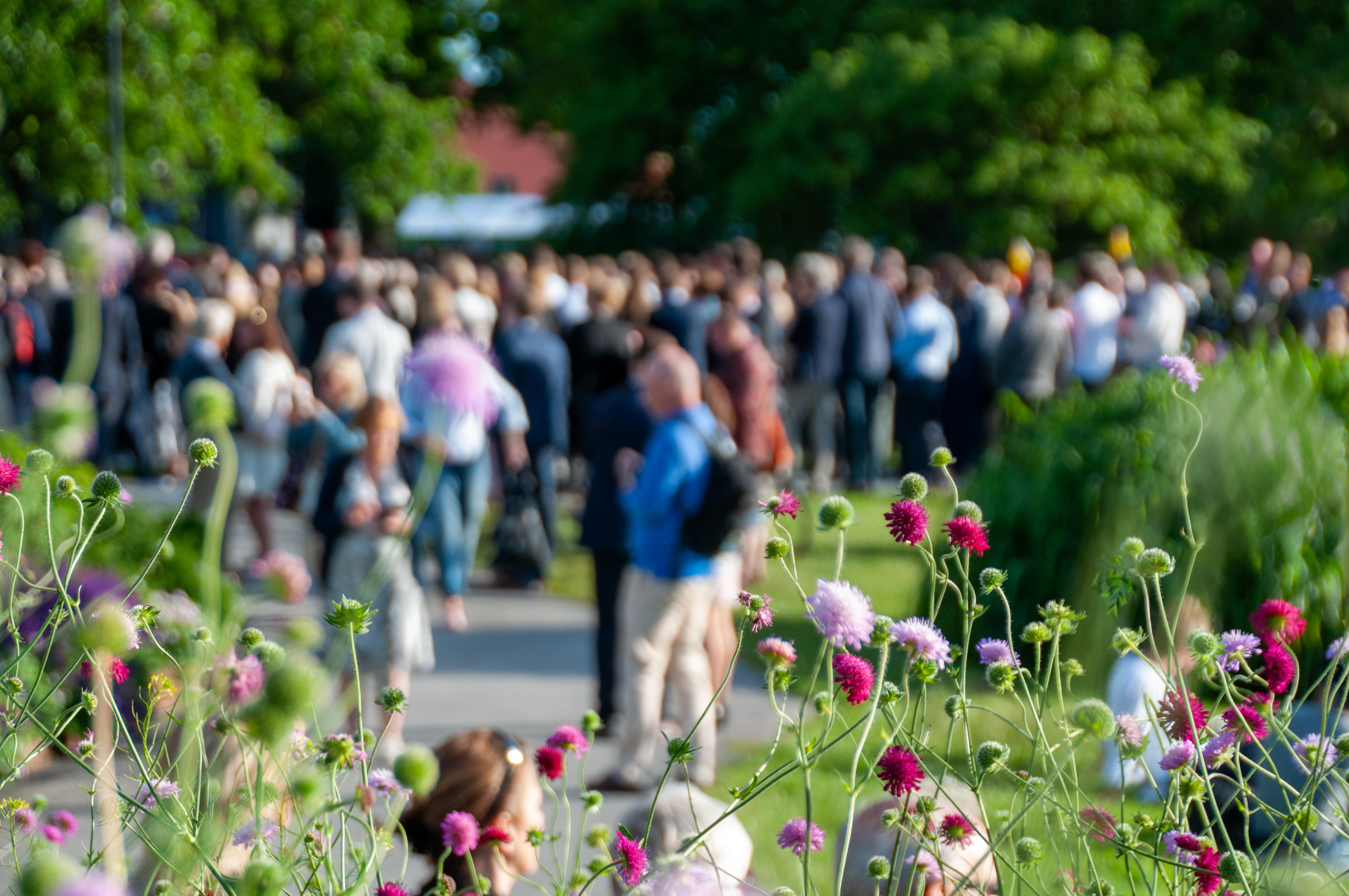 Blommor och folkmassa Almedalen